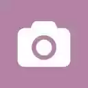 SEOInfo  screen for extension Chrome web store in OffiDocs Chromium