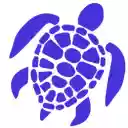 SEO Turtle Analyzer  screen for extension Chrome web store in OffiDocs Chromium