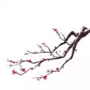 Serene Blossom  screen for extension Chrome web store in OffiDocs Chromium