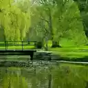Serene Park Bridge  screen for extension Chrome web store in OffiDocs Chromium
