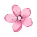 Serene Sakura  screen for extension Chrome web store in OffiDocs Chromium