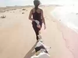 Free download Serpente de Lixo free photo or picture to be edited with GIMP online image editor