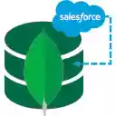 SFDC to Atlas Data Exporter  screen for extension Chrome web store in OffiDocs Chromium