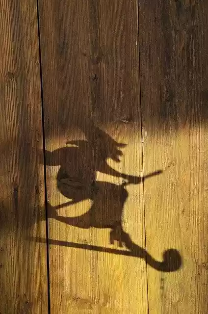 Free download Shadow The Witch Wood -  free photo or picture to be edited with GIMP online image editor