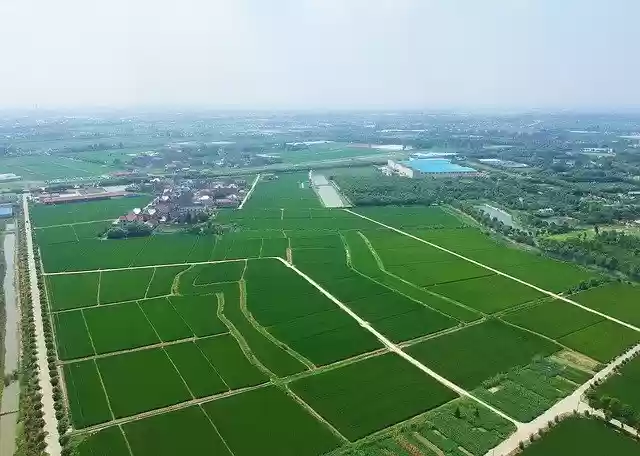 Free download Shanghai Jiading Huating -  free photo or picture to be edited with GIMP online image editor