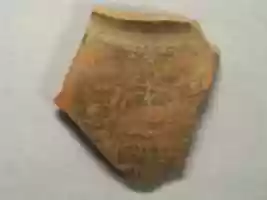 Free download Shard:  Flower free photo or picture to be edited with GIMP online image editor