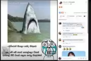 Free download shark1 free photo or picture to be edited with GIMP online image editor