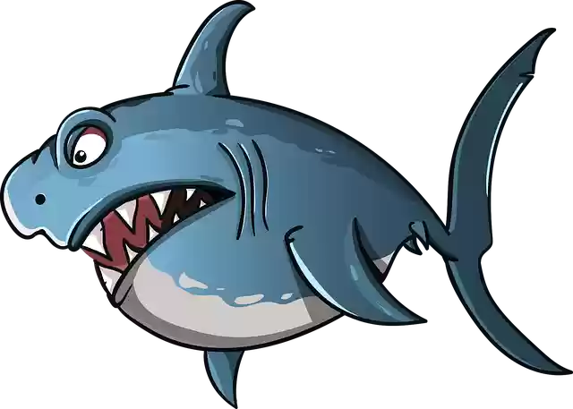 Shark Cartoon Fishfree Vector Graphic On Pixabay Shark Cartoon Fishfree Vector Graphic On Pixabay