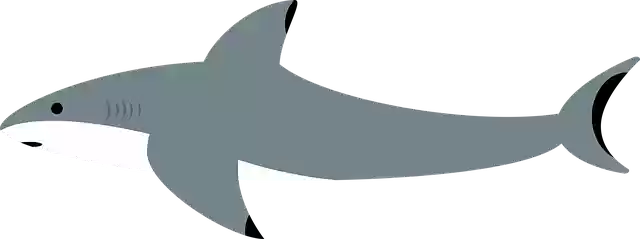 Free download Shark Sea Water -  free illustration to be edited with GIMP free online image editor