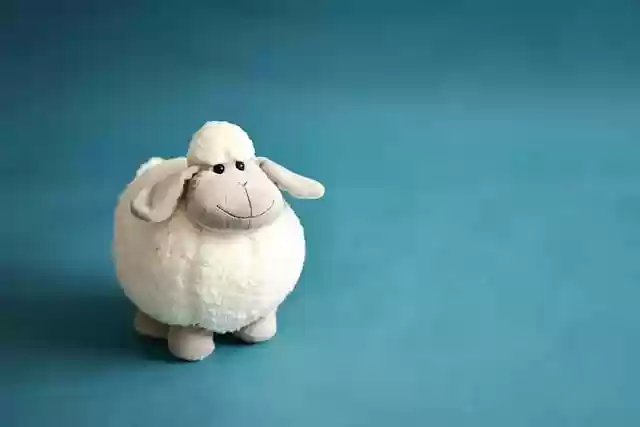 Free download sheep doll studio light blue wool free picture to be edited with GIMP free online image editor
