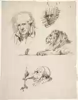 Free download Sheet of Studies:  Three Male Heads, a Lion and a Mouse free photo or picture to be edited with GIMP online image editor