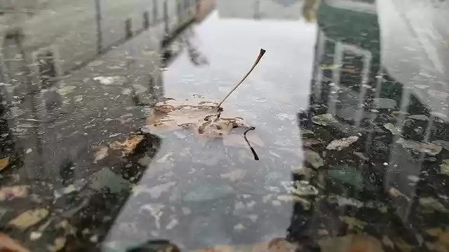 Free download Sheet Water -  free free photo or picture to be edited with GIMP online image editor