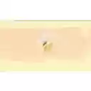 Shell Bee  screen for extension Chrome web store in OffiDocs Chromium