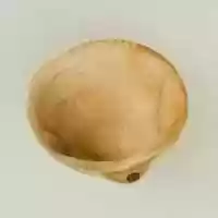 Free download Shell Pendant or Bead free photo or picture to be edited with GIMP online image editor