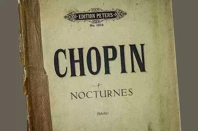 Free download Shopin Nocturnes Collectable -  free free photo or picture to be edited with GIMP online image editor