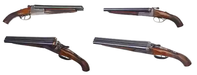 Free download Shotgun Hunting Firearms -  free illustration to be edited with GIMP free online image editor