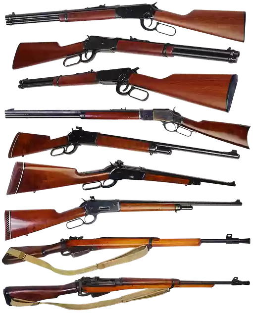 Free download Shotgun Rifle Carbine -  free illustration to be edited with GIMP free online image editor
