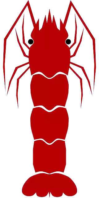 Free download Shrimp Animal Aqua - Free vector graphic on Pixabay free illustration to be edited with GIMP free online image editor
