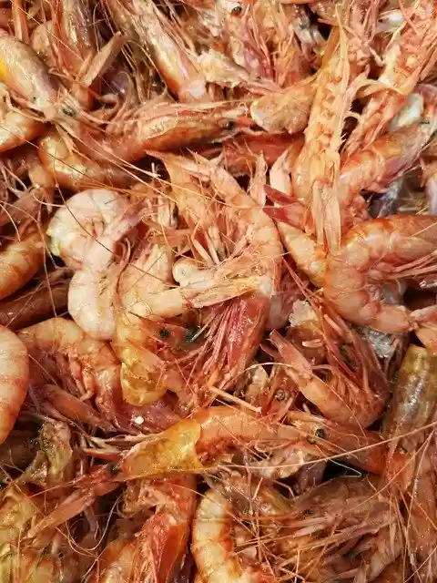 Free download Shrimp Red Marine -  free photo or picture to be edited with GIMP online image editor