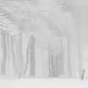 Shubham Launcher  screen for extension Chrome web store in OffiDocs Chromium