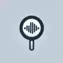 Silent Search  screen for extension Chrome web store in OffiDocs Chromium