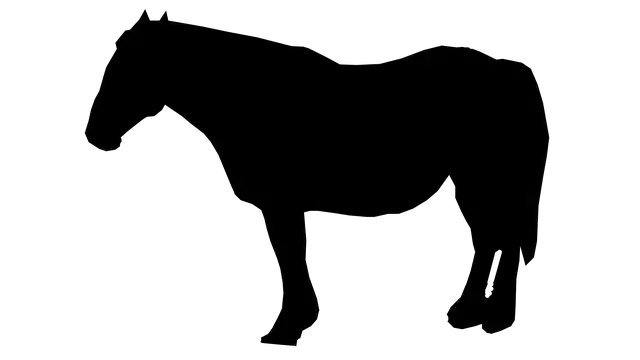 Free download Silhouette Horse Field Horseback -  free illustration to be edited with GIMP free online image editor