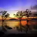 Silhouette of Trees Near Body of Water  screen for extension Chrome web store in OffiDocs Chromium