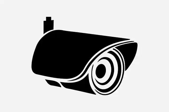 Free download Silhouette Security Cam - Free vector graphic on Pixabay free illustration to be edited with GIMP free online image editor