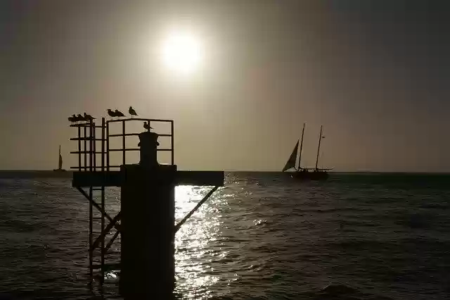 Free download Silhouette Sunset Birds -  free photo or picture to be edited with GIMP online image editor
