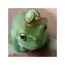 Silly Animal of the Day  screen for extension Chrome web store in OffiDocs Chromium