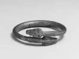 Free download Silver bracelet in the form of a snake free photo or picture to be edited with GIMP online image editor