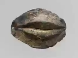 Free download Silver-gilt mouthpiece free photo or picture to be edited with GIMP online image editor