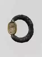 Free download Silver swivel ring with agate scarab in gold setting free photo or picture to be edited with GIMP online image editor
