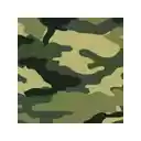 Simple Camo  screen for extension Chrome web store in OffiDocs Chromium