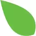 Simple Green  screen for extension Chrome web store in OffiDocs Chromium