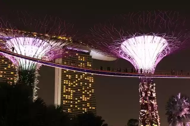 Free download Singapore Gardens By The Bay -  free photo or picture to be edited with GIMP online image editor