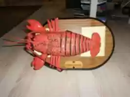 免费下载 Singing Lobster 列表 图片免费照片或图片可使用 GIMP 在线图像编辑器进行编辑