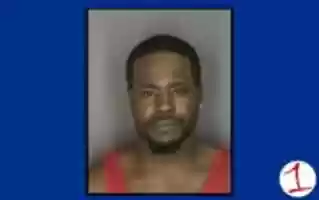 Free download singleton free photo or picture to be edited with GIMP online image editor