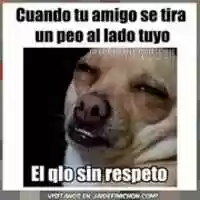 Free download sin respeto free photo or picture to be edited with GIMP online image editor