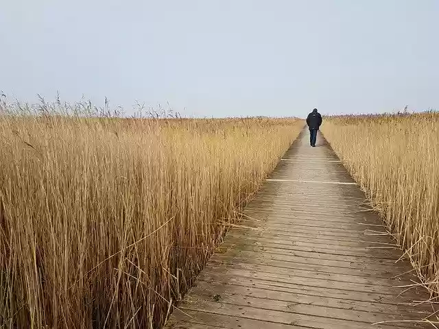 Free download Siv Wooden Bridge Walkway -  free photo template to be edited with GIMP online image editor