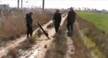 Free download Ska 3 free photo or picture to be edited with GIMP online image editor