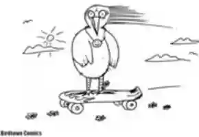 Free download Skater Bird  free photo or picture to be edited with GIMP online image editor