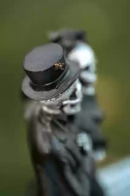 Free download skeleton statue spider skeletons free picture to be edited with GIMP free online image editor