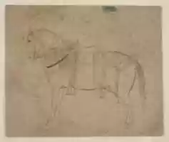 Free download Sketch of a Horse free photo or picture to be edited with GIMP online image editor