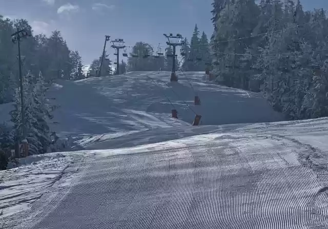 Free download skiing slope trees forest snow free picture to be edited with GIMP free online image editor