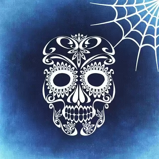Free download Skull And Crossbones Cobweb -  free illustration to be edited with GIMP free online image editor