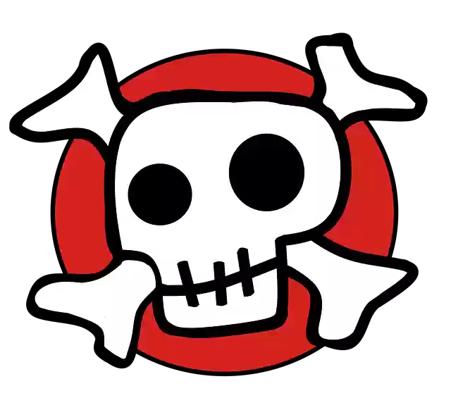 Free download Skull And Crossbones Pirates -  free illustration to be edited with GIMP free online image editor