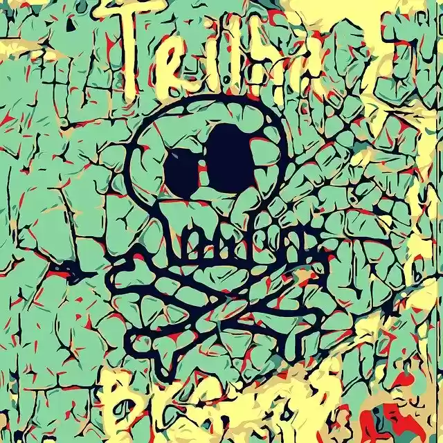 Free download Skull Trail -  free illustration to be edited with GIMP free online image editor