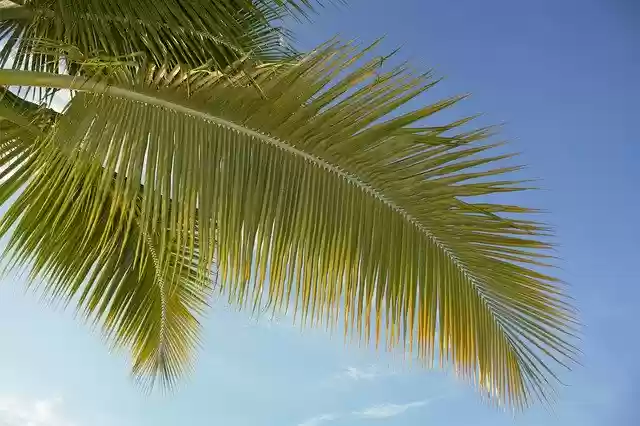 Free download Sky Blue Co -  free free photo or picture to be edited with GIMP online image editor