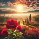 Sky Flower  screen for extension Chrome web store in OffiDocs Chromium